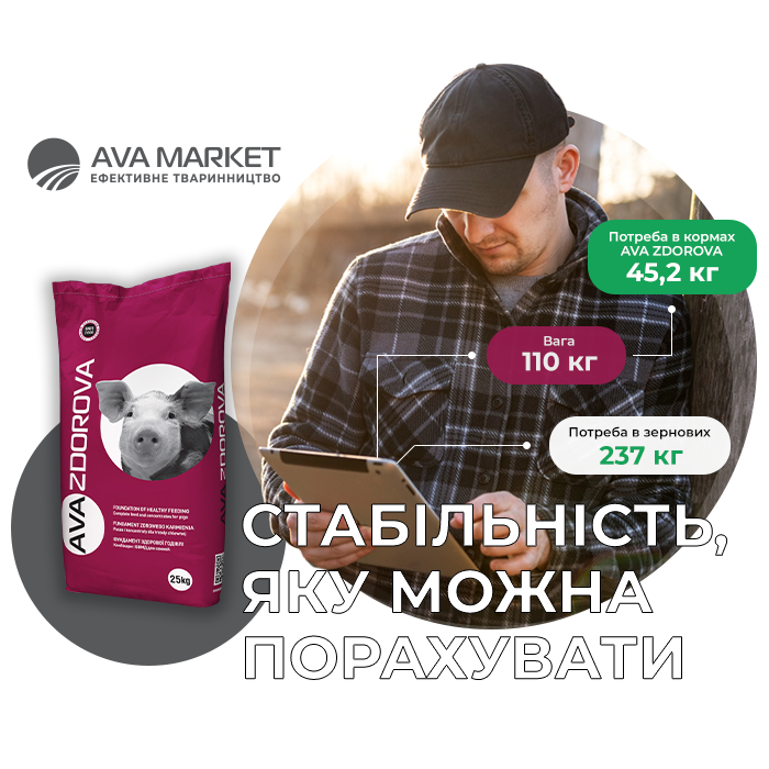 Чат бот AVA ZDOROVA