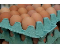 Как увеличить яйценоскость кур-несушек