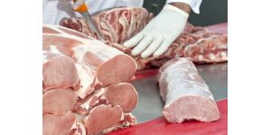 Методы селекции в повышении качественных показателей мяса свиней