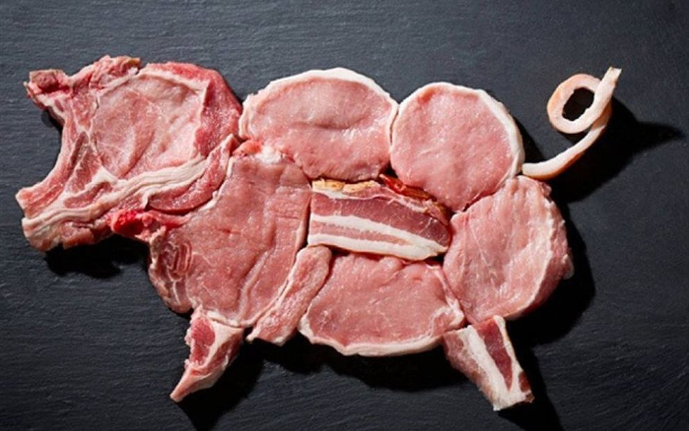Мясо домашних свиней. Свинина. Кусок свинины.