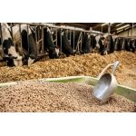 Важливість гранульованих кормів для тварин