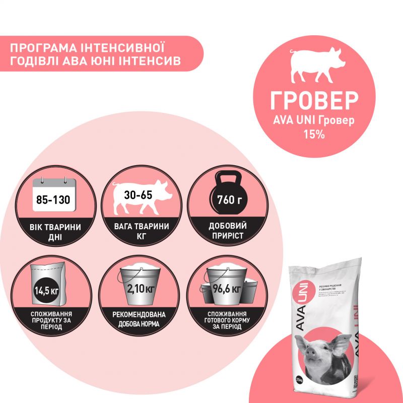 БМВД для свиней 30 – 65 кг AVA UNI Гровер 15%