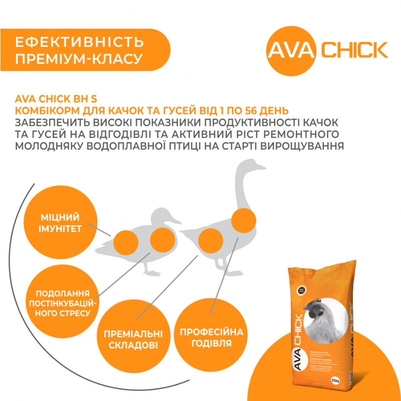 AVA Chick BHS Старт- стартовый комбикорм для уток и гусей