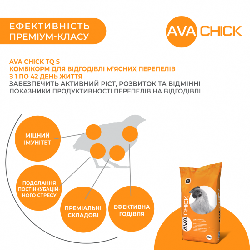 AVA Chick TQ S - стартовий комбікорм для м'ясних перепелів