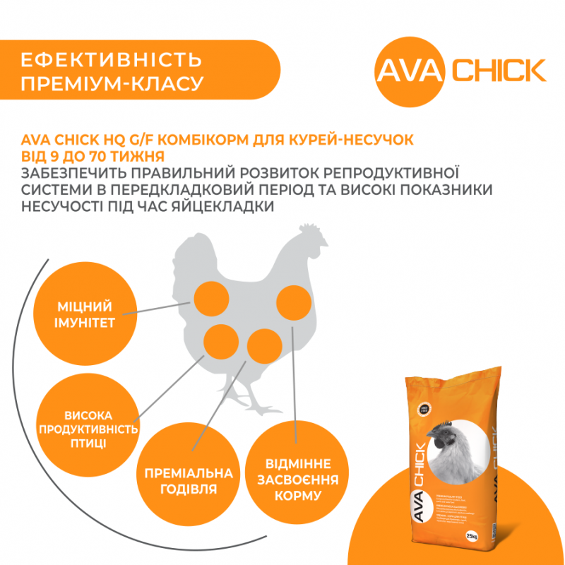 AVA Chick HQ G/F - комбикорм для курей несушек