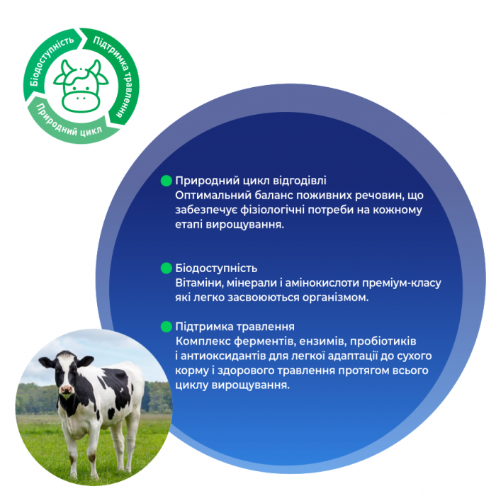АВА ЗДОРОВА - ФУНДАМЕНТ ЗДОРОВОГО КОРМЛЕНИЯ 