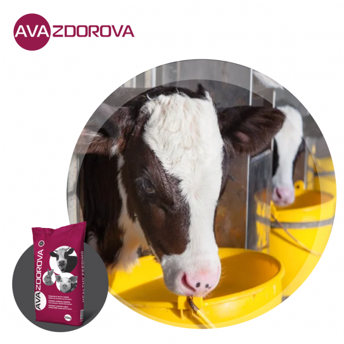 ЭКОНОМИЧЕСКАЯ ЭФФЕКТИВНОСТЬ С AVA ZDOROVA