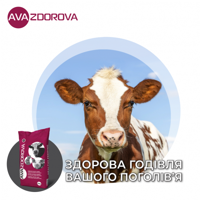 ЗДОРОВОЕ КОРМЛЕНИЕ - ГАРАНТИРОВАННЫЙ РЕЗУЛЬТАТ
